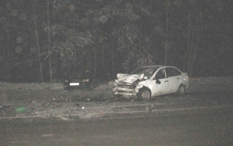 Житель Мордовии устроил ДТП и «забыл» о двух погибших пассажирах