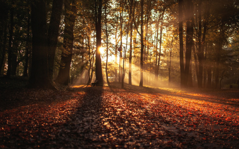 Прогноз погоды в Саранске на 12 октября