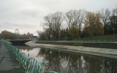 Сильный ветер: в Мордовии объявили оперативное предупреждение