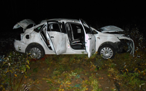 В Мордовии легковушка оказалась в кювете из-за дикого кабана