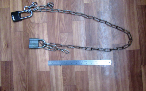 Была пьяна и пыталась убежать из дома: в Мордовии два брата приковали сестру цепью к батарее