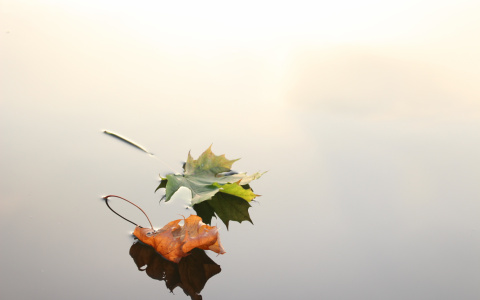 Прогноз погоды в Саранске 20 октября