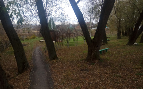 Мэр Саранска отправит чиновников убирать территорию родника в Полянках
