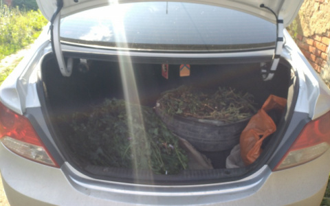 В машине жителя Мордовии нашли почти килограмм наркотиков