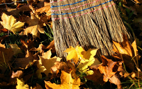 Сотрудники Администрации Саранска навели порядок на территории родника в Полянках