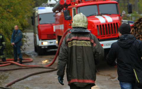 В Саранске горел автомобиль