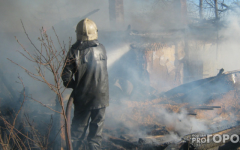 В Мордовии пожарным пришлось тушить сарай