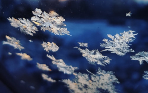 Прогноз погоды в Саранске на первое ноября