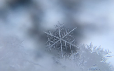 Синоптики пообещали россиянам «розовую» зиму