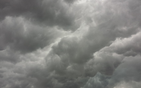 МЧС объявило оперативное предупреждение из-за ветра в Мордовии