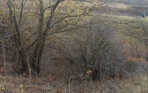 В пригороде Саранска нашли человеческие кости