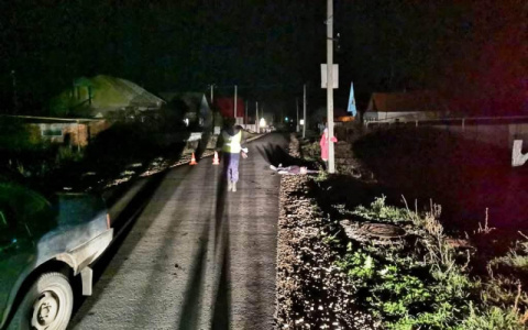 В Мордовии водитель «ВАЗа» насмерть сбил мужчину, идущего по дороге