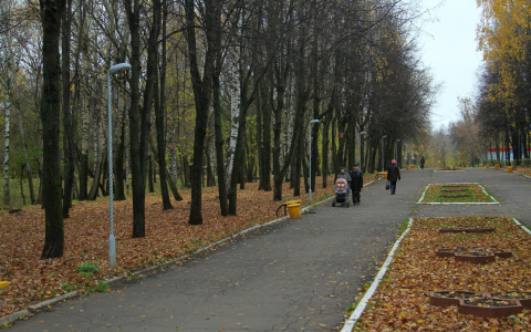 Мэр Саранска вновь отправит сотрудников Администрации на субботник