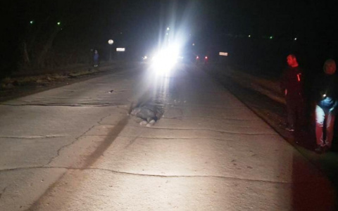 Погиб до приезда «Скорой»: житель Мордовии попал под колеса легковушки