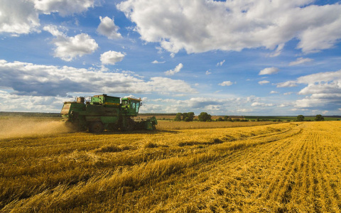 В РСХБ более 80% кредитов на сезонные работы оформлено по льготным ставкам