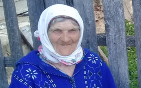 Волонтеры рассказали, как продвигаются поиски пропавшей в Мордовии пенсионерки