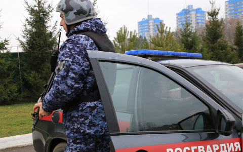 Задержана жительница Саранска, которая украла алкоголь из магазина