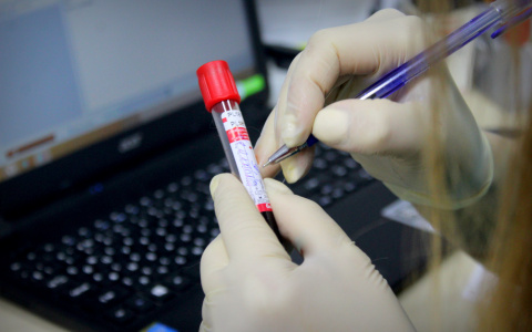 Из-за бешенства на территории еще одного мордовского села введен карантин