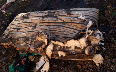 Житель Саранска едва не погиб из-за загоревшегося матраса (фото)