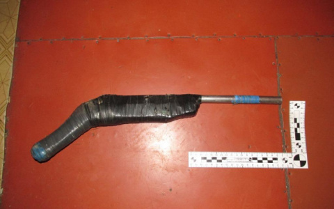 Житель Мордовии открыл огонь по соседским овцам, а потом полицейские забрали у него обрез