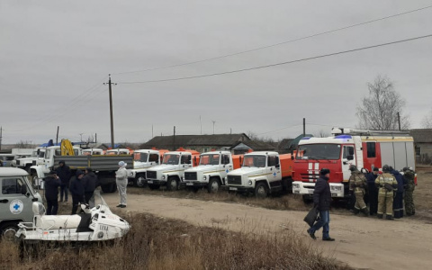 Очаг африканской чумы свиней ликвидирован в ходе учений в Мордовии