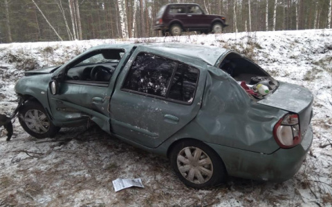 В Мордовии иномарка улетела в кювет с заснеженной дороги