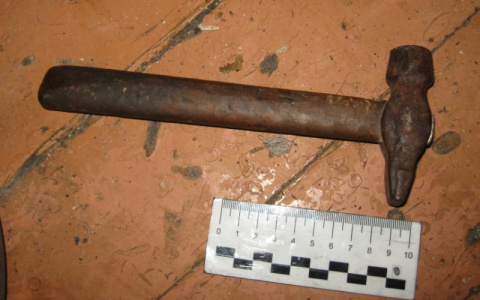 Пьяный житель Саранска избил приятеля молотком