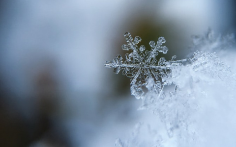 Из-за ледяного дождя в Мордовии объявлено штормовое предупреждение