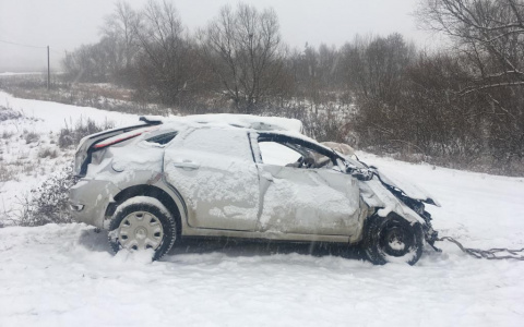 Ночью в Мордовии иномарка слетела с дороги: есть пострадавшие (фото)