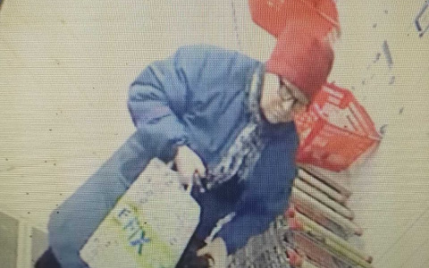 В Саранске ищут пенсионерку с клюшкой, которая украла мобильный телефон