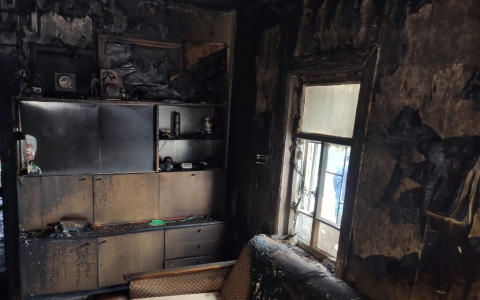 В Мордовии в пожаре погиб инвалид