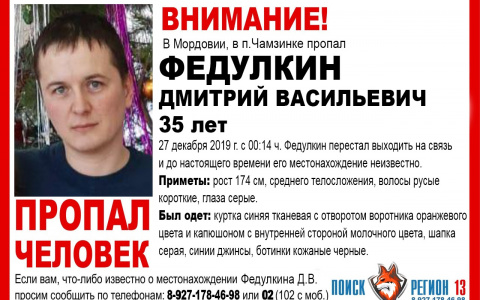 Перестал выходить на связь: в Мордовии ищут пропавшего без вести Дмитрия Федулкина