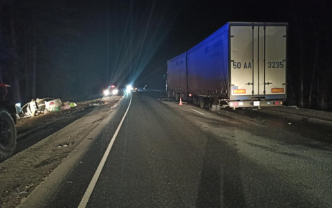 Лобовое столкновение легковушки и фуры на трассе в Мордовии: два человека погибли