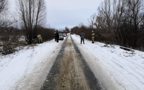 В Мордовии молодой водитель «Калины» съехал в кювет и врезался в дерево