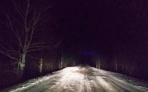 В Мордовии молодой лихач и его пассажирка пострадали в ДТП: водитель нарушал ПДД больше 60 раз