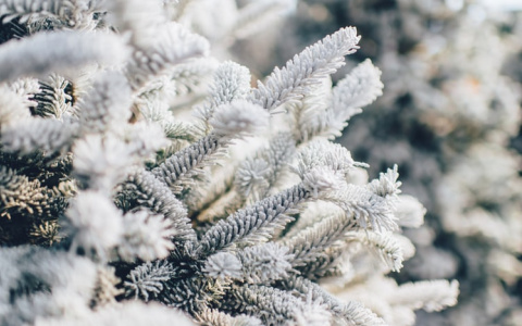 Небольшой снег: Прогноз погоды в Саранске на 7 января