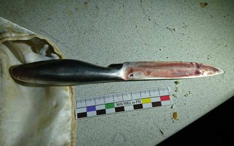 Во время праздничного застолья житель Мордовии убил своего знакомого