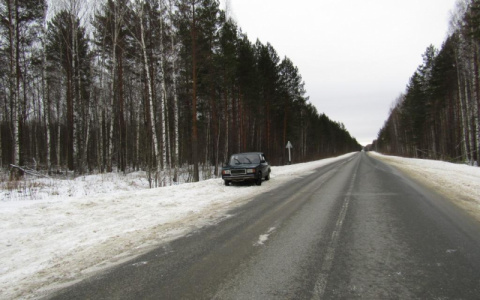 Пьяный житель Мордовии угнал «ВАЗ», и, попав на нем в ДТП, бросил машину на дороге
