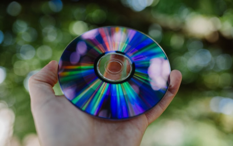 Полицейские в Саранске задержали геймера, укравшего два диска с играми