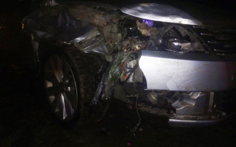 Водитель иномарки насмерть сбил пешехода на трассе в Мордовии