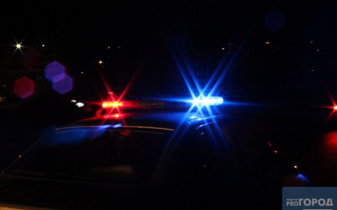 В Саранске задержали мужчину, который пытался украсть алкоголь из магазина