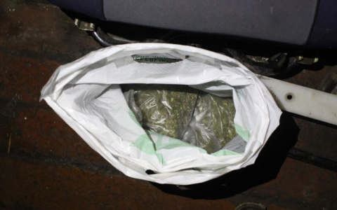 Житель Мордовии собрал в поле коноплю и спрятал в сарай