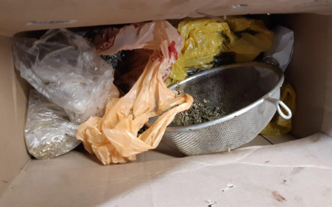 Полицейские нашли в гараже у жителя Мордовии коробку с марихуаной