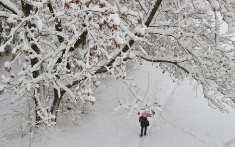 Синоптики пообещали россиянам, что февраль будет похож на зиму