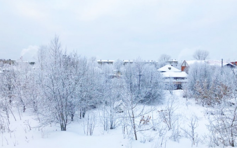 В воскресенье в Саранске закружат метели: прогноз погоды на 26 января