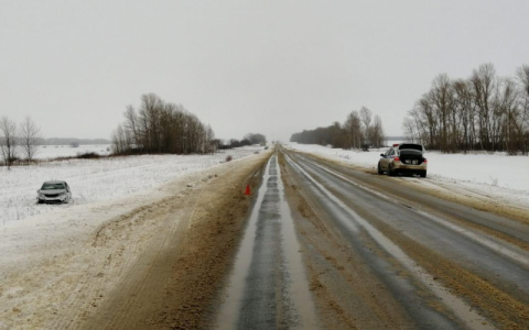В Мордовии иномарка с двумя детьми улетела в кювет