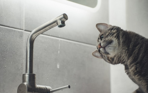 28 января ряд домов в Саранске останется без холодной воды