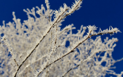 Легкий мороз и снег: прогноз погоды в Саранске на 29 января