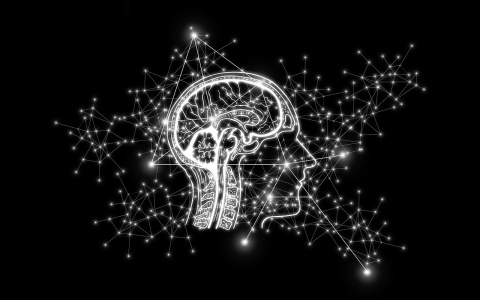 Если вы действительно всесторонне развитый человек, то легко ответите на все 10 вопросов