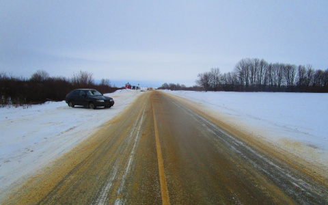 На дороге «Саранск – Кочкурово» насмерть сбили дедушку